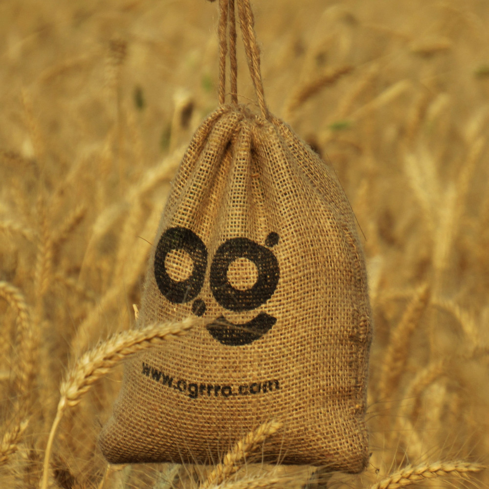 Wheat From Organic Farms