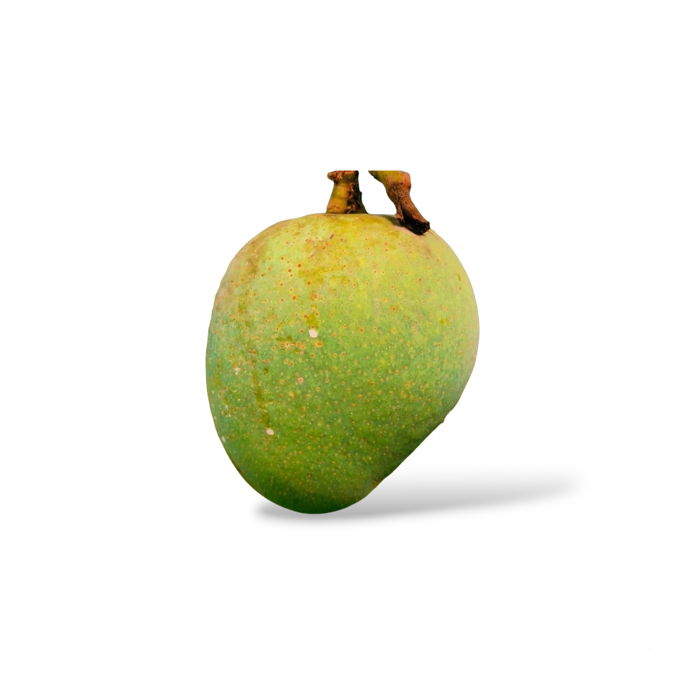 হিমসাগর (ক্ষীরসাপাত) আম