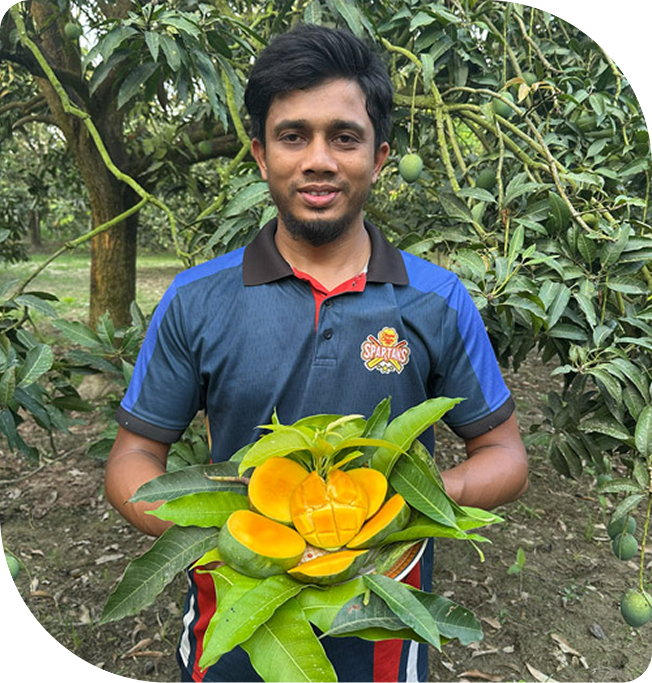 himsagor-mango-with-rifat